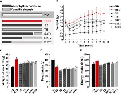 The effects of Ascophyllum nodosum, Camellia sinensis-leaf extract, and their joint interventions on glycolipid and energy metabolism in obese mice